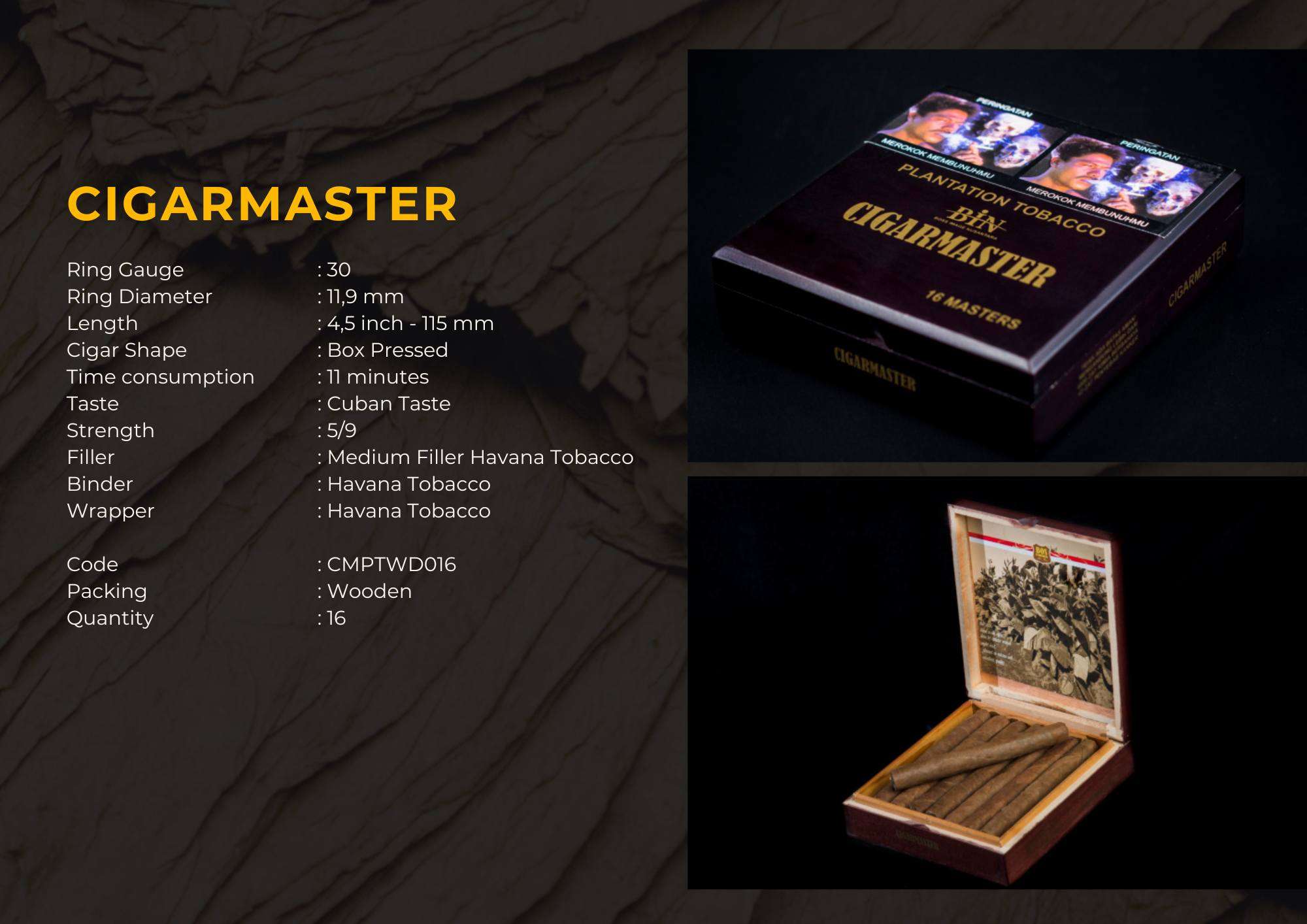 Bin- CigarMaster (Box of 16)