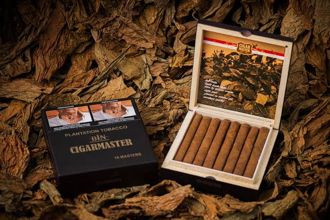 Bin- CigarMaster (Box of 16)