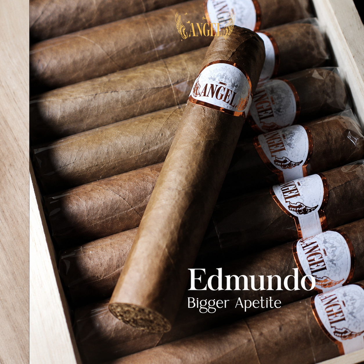 ANGEL - EDMUNDO